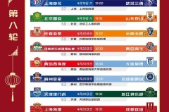 申花队塞蒂恩反思挫败，逆境中坚定信念展望未来